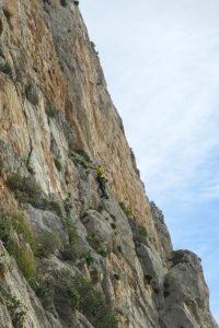 via-paradiso-climbing-palermo